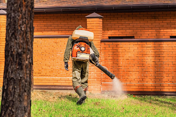 Trusted Bed Bug Control service in Paoli, PA - Nex Pest Control